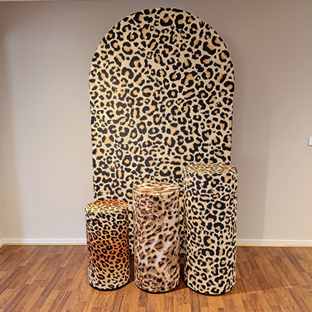 Leopard Spots Party Package Hire FROM