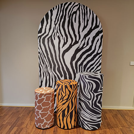 Lots of Zebras Party Package Hire FROM
