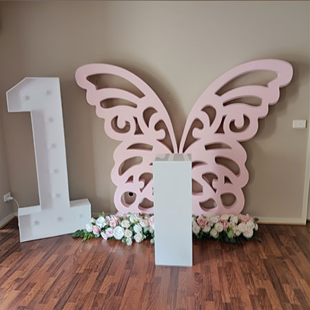 Butterfly full Party Package