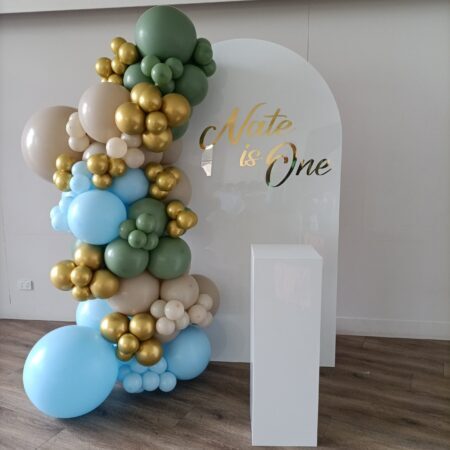 Acrylic Arch White Party Package