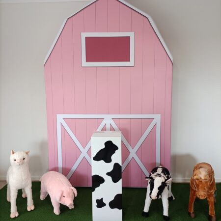 A Pink Farm Barn Party Package - The Backdrop Station