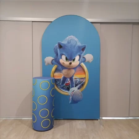 5. Sonic Theme Party Package Hire From