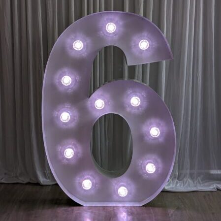 6 Marquee Light Up Number (1.2M / 4ft) Party Hire