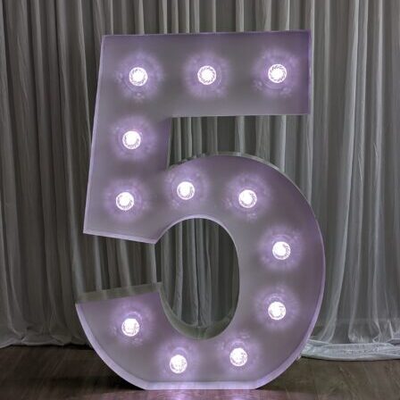 5 Marquee Light Up Number (1.2M / 4ft) Party Hire