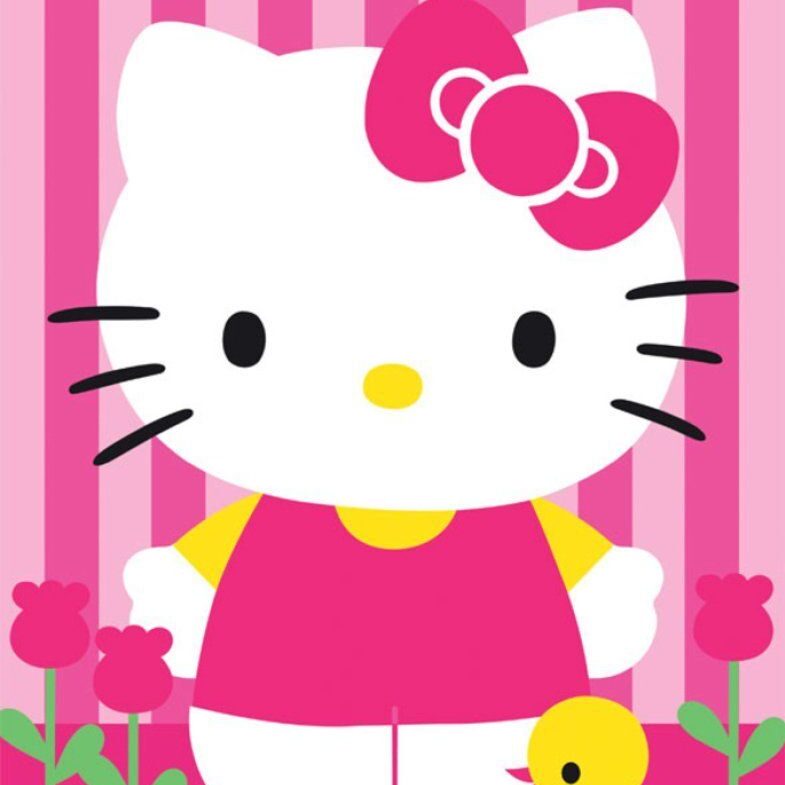 5.1 Hello Kitty Theme Party Package “COMING LATE OCT” From